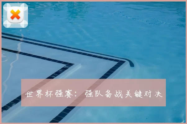 世界杯强赛:强队备战关键对决