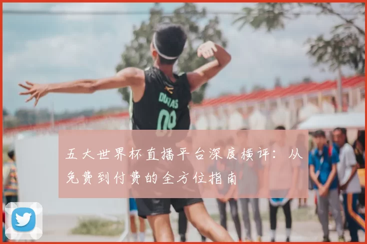 五大世界杯直播平台深度横评:从免费到付费的全方位指南