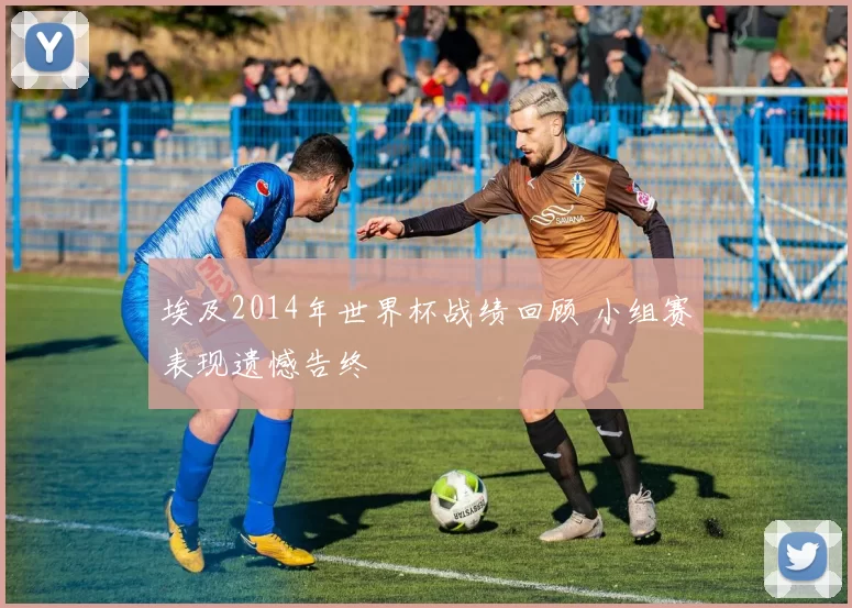 埃及2014年世界杯战绩回顾 小组赛表现遗憾告终
