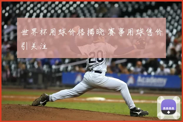 世界杯用球价格揭晓 赛事用球售价引关注