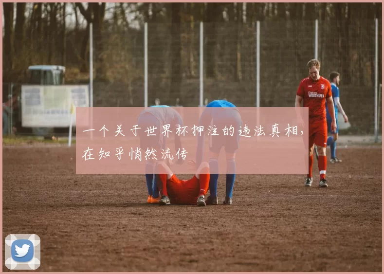 一个关于世界杯押注的违法真相，在知乎悄然流传