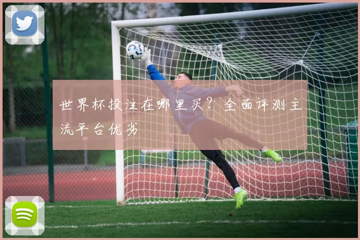 世界杯投注在哪里买？全面评测主流平台优劣