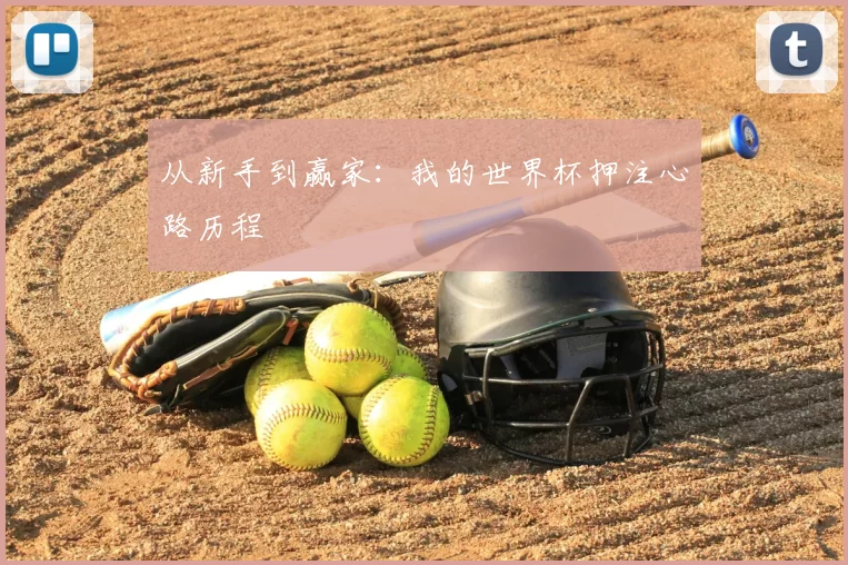 从新手到赢家：我的世界杯押注心路历程