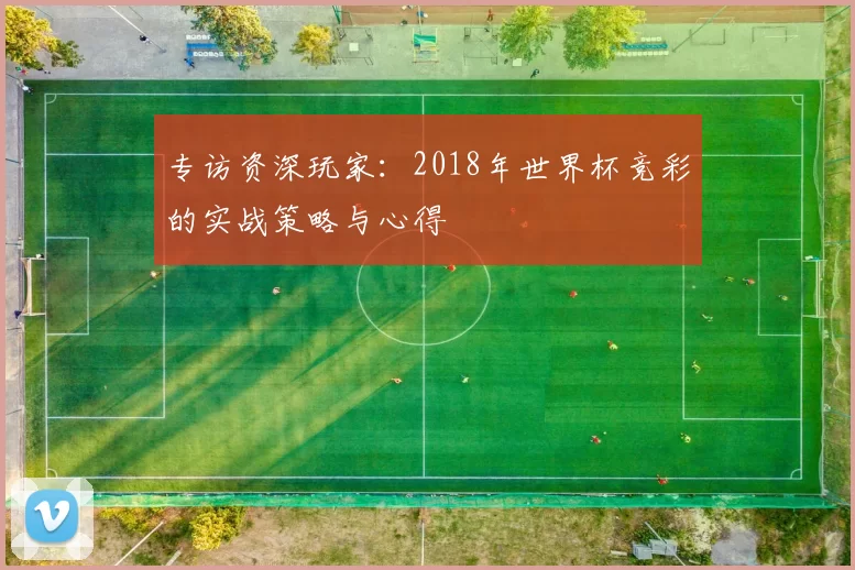 专访资深玩家：2018年世界杯竞彩的实战策略与心得