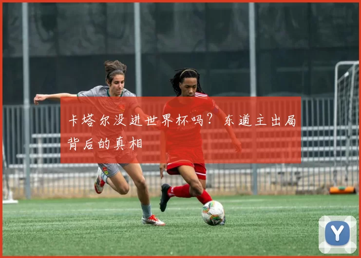 卡塔尔没进世界杯吗?东道主出局背后的真相