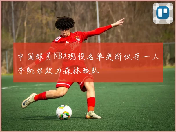 中国球员NBA现役名单更新仅存一人李凯尔效力森林狼队