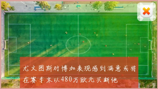 尤文图斯对博加表现感到满意或将在赛季末以480万欧元买断他
