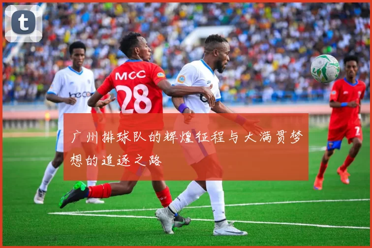 广州排球队的辉煌征程与大满贯梦想的追逐之路
