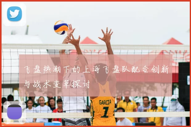 飞盘热潮下的上海飞盘队配合创新与战术变革探讨
