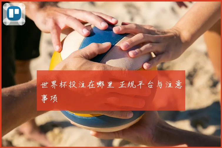 世界杯投注在哪里 正规平台与注意事项