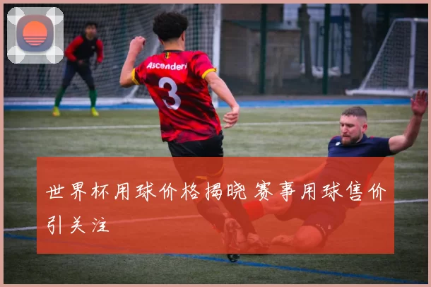 世界杯用球价格揭晓 赛事用球售价引关注