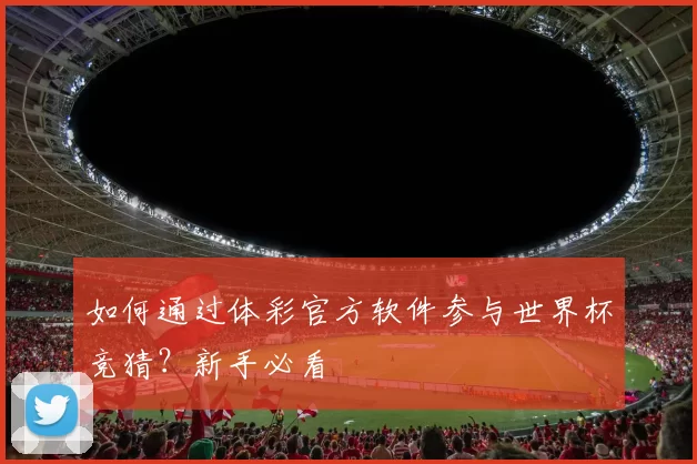 如何通过体彩官方软件参与世界杯竞猜？新手必看