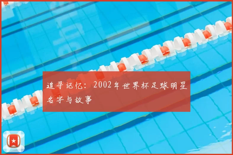 追寻记忆:2002年世界杯足球明星名字与故事