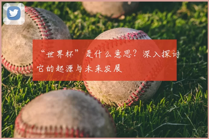 “世界杯”是什么意思?深入探讨它的起源与未来发展