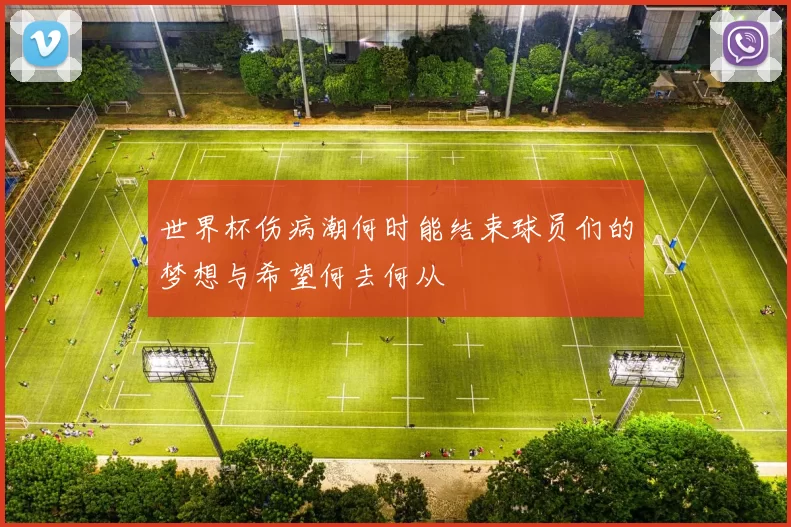 世界杯伤病潮何时能结束球员们的梦想与希望何去何从