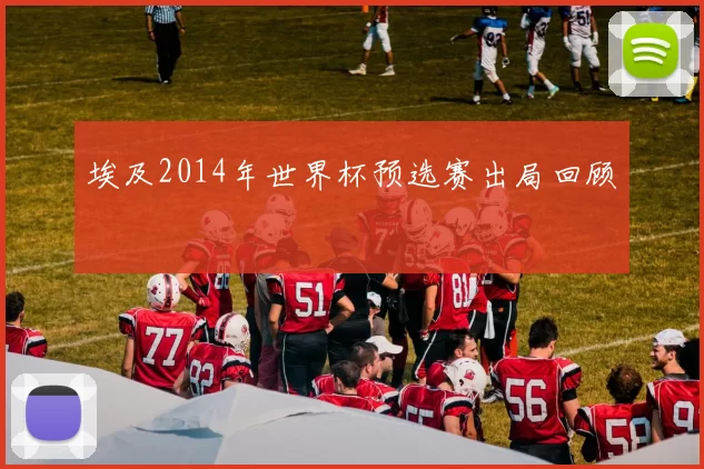 埃及2014年世界杯预选赛出局回顾