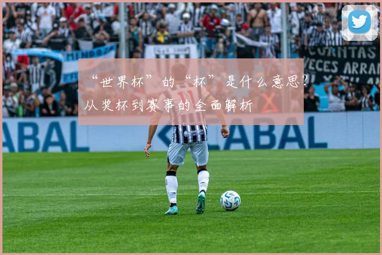 “世界杯”的“杯”是什么意思?从奖杯到赛事的全面解析