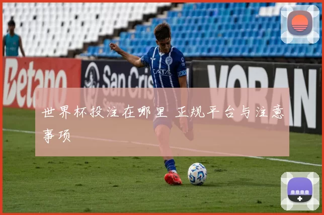 世界杯投注在哪里 正规平台与注意事项