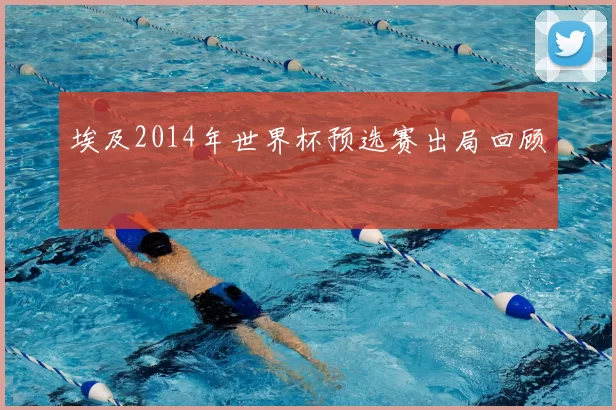 埃及2014年世界杯预选赛出局回顾